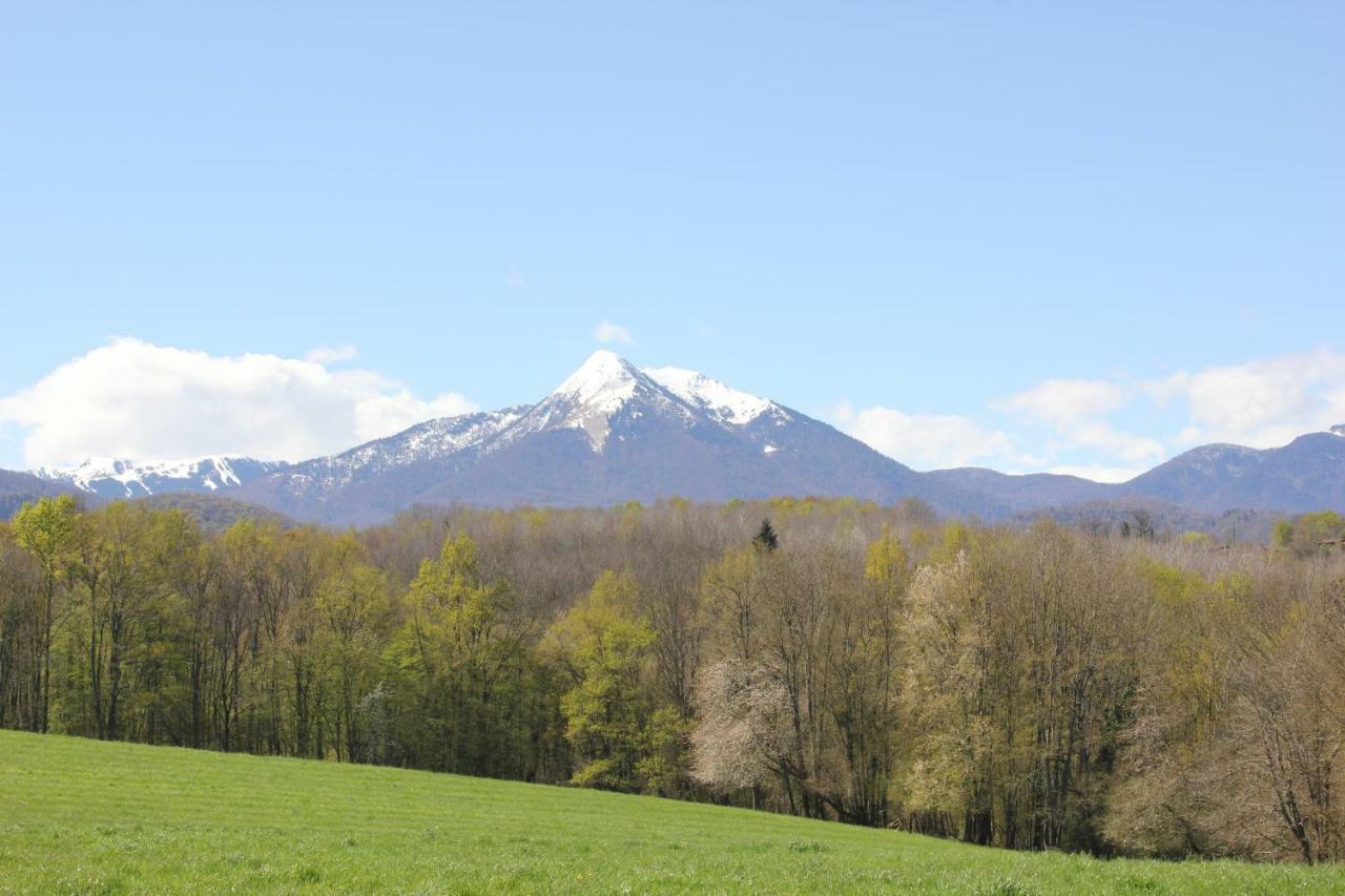 Maison Du Coue Pyrenees Mourtis Pour 2 A 12 Pers Ferienhaus Sengouagnet