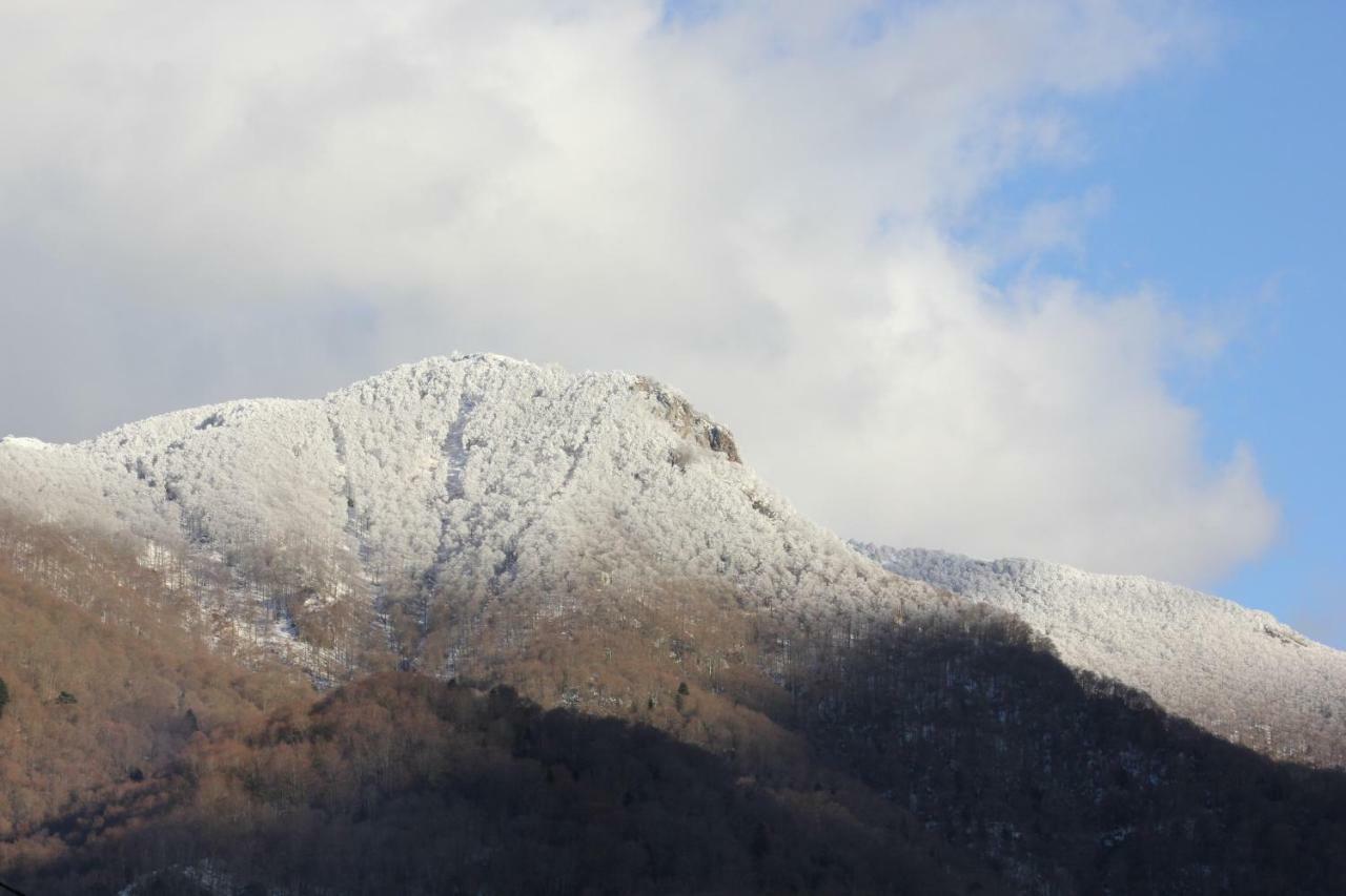 Ferienhaus Maison Du Coue Pyrenees Mourtis Pour 2 A 12 Pers Sengouagnet